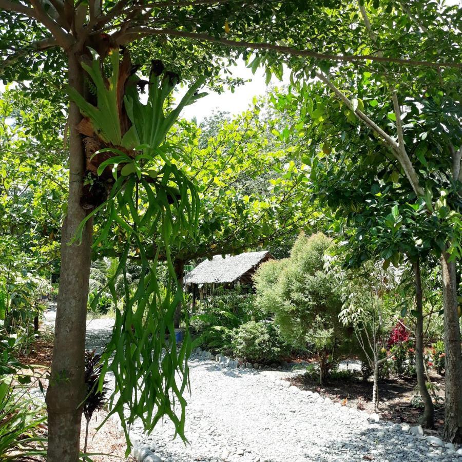 Magpie Homestay & Jungle Trekking Especially For Guest Trekking With Us Bukit Lawang Exterior photo