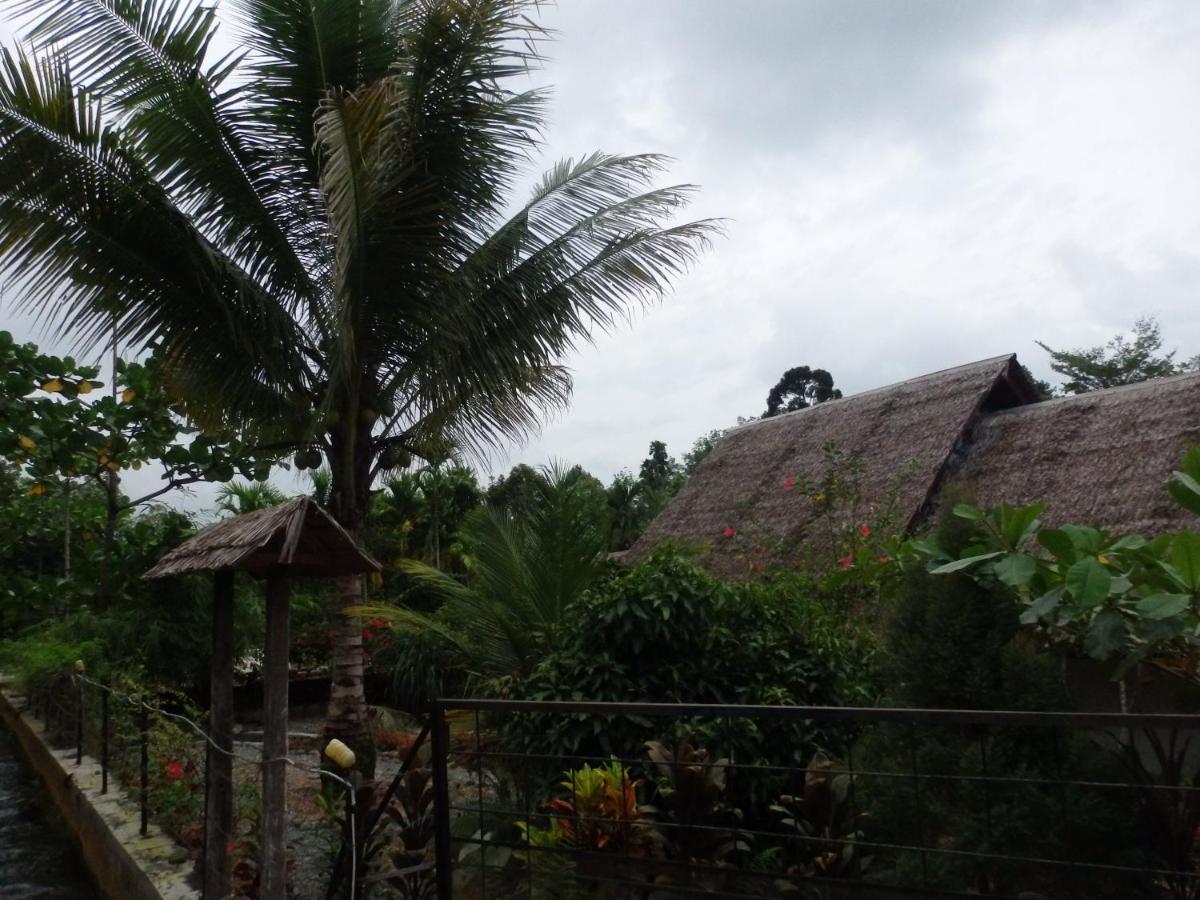 Magpie Homestay & Jungle Trekking Especially For Guest Trekking With Us Bukit Lawang Exterior photo