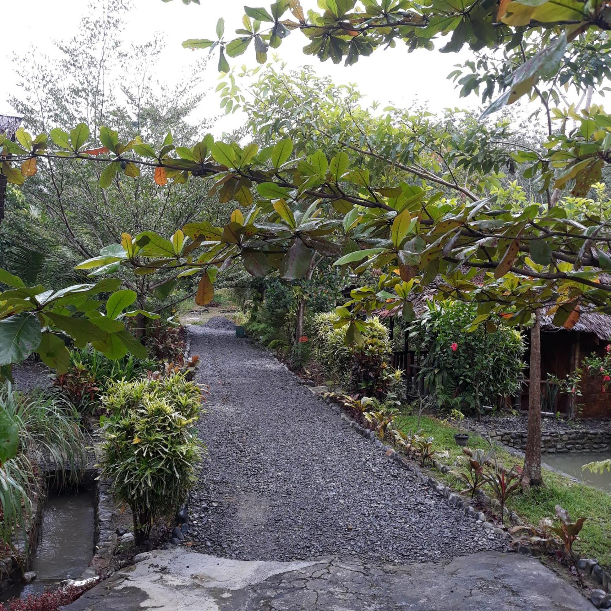 Magpie Homestay & Jungle Trekking Especially For Guest Trekking With Us Bukit Lawang Room photo