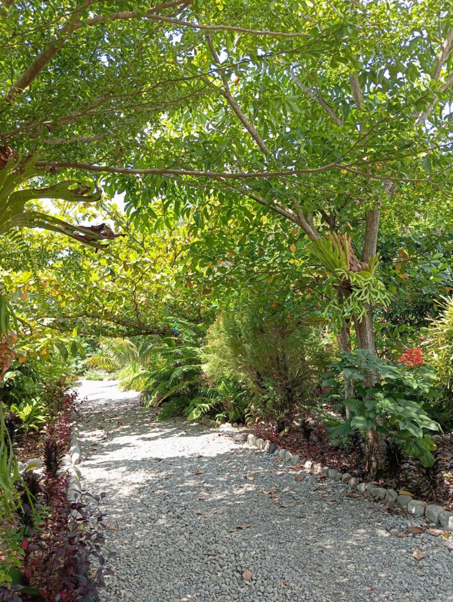 Magpie Homestay & Jungle Trekking Especially For Guest Trekking With Us Bukit Lawang Exterior photo
