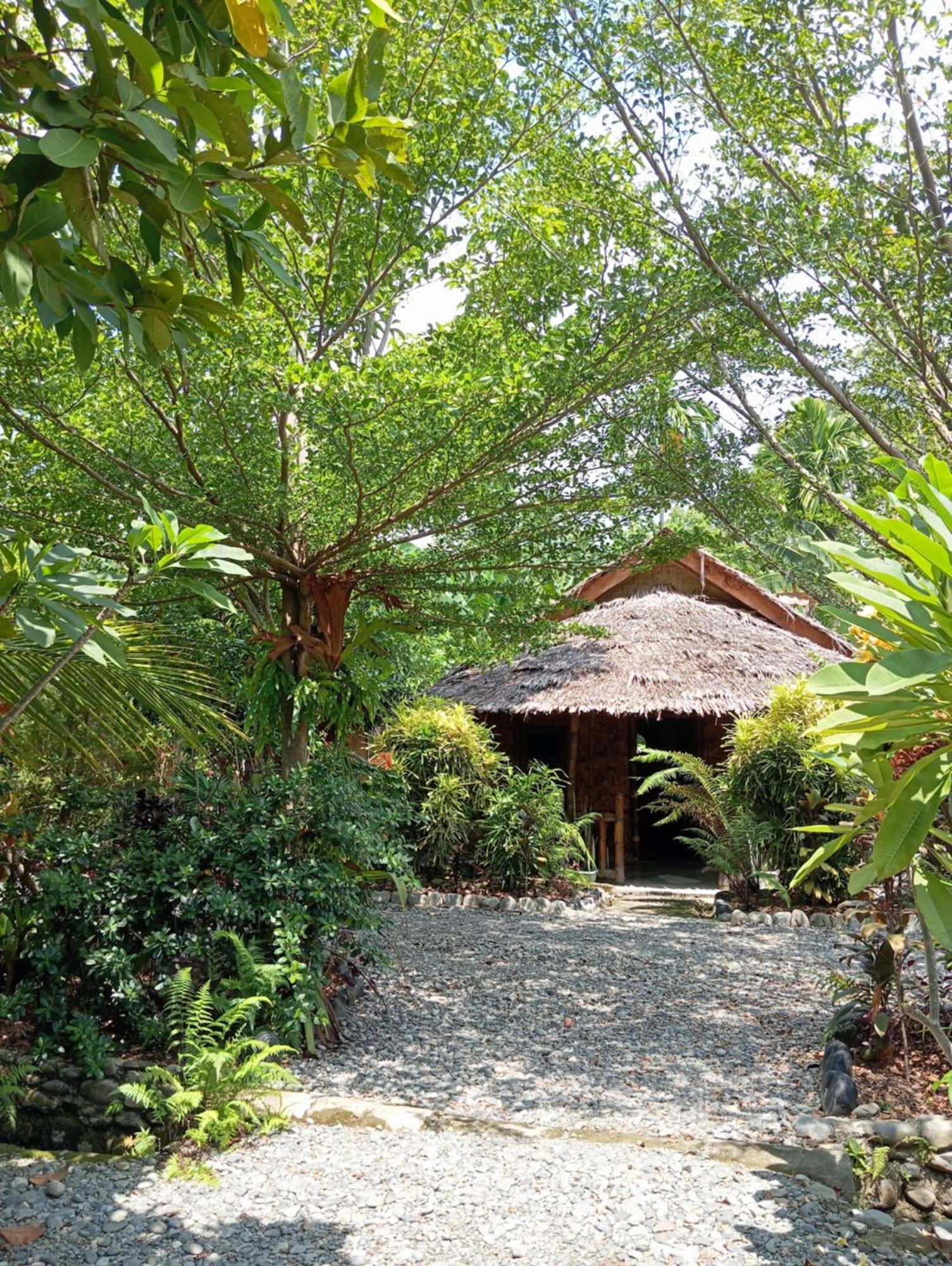 Magpie Homestay & Jungle Trekking Especially For Guest Trekking With Us Bukit Lawang Exterior photo
