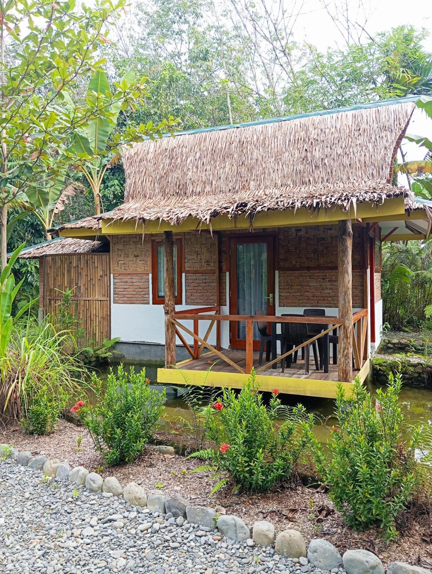 Magpie Homestay & Jungle Trekking Especially For Guest Trekking With Us Bukit Lawang Exterior photo