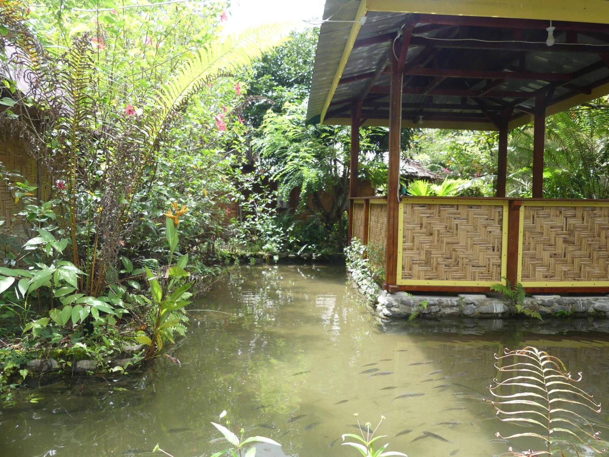 Magpie Homestay & Jungle Trekking Especially For Guest Trekking With Us Bukit Lawang Room photo