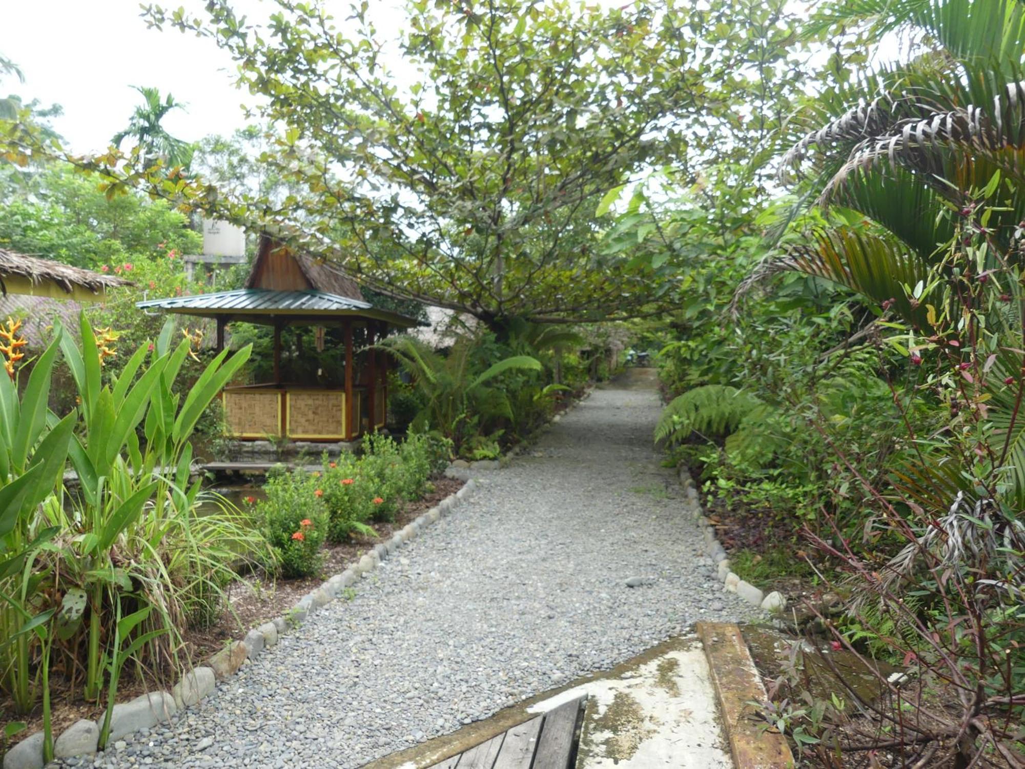 Magpie Homestay & Jungle Trekking Especially For Guest Trekking With Us Bukit Lawang Room photo